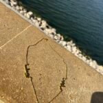 Double Name Necklace