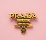 Prada-Inspired Brooch